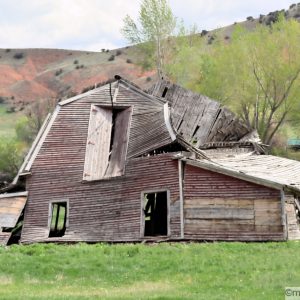 Decades old barn with center of roof collapsed and sides will be next