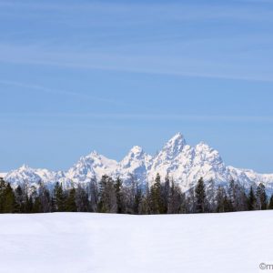 A view of the Teton Range just passed the Continental Divide at Togwotee Pass