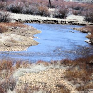 Undisturbed, quiet bends in the river