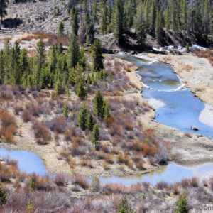 The Wind River and pines from an overlook